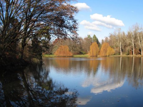 Čechy pod Kosířem Chateau